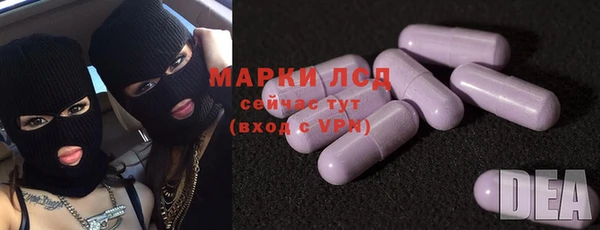 PSILOCYBIN Навашино