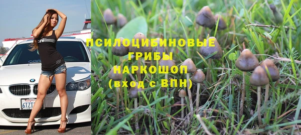 бошки Нея