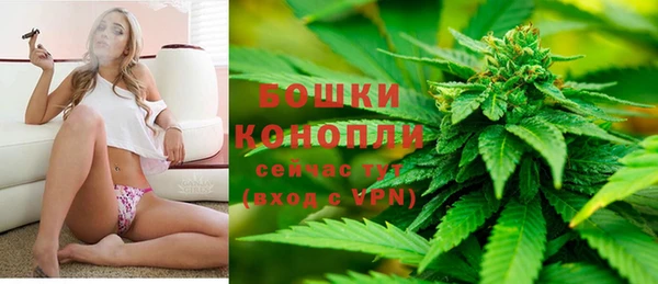 бошки Нея