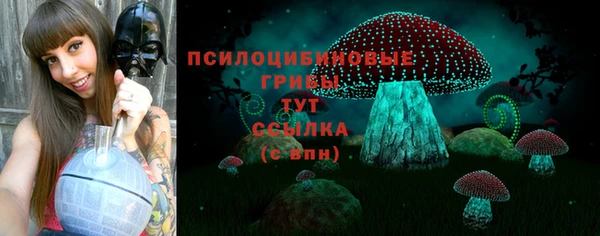 кокс Дубна