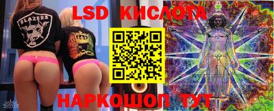 прущие грибы Гусев
