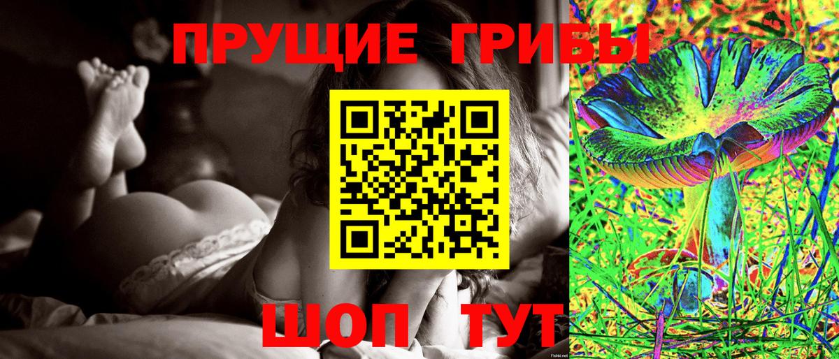 купить наркотик  Кандалакша  Псилоцибиновые грибы мицелий 