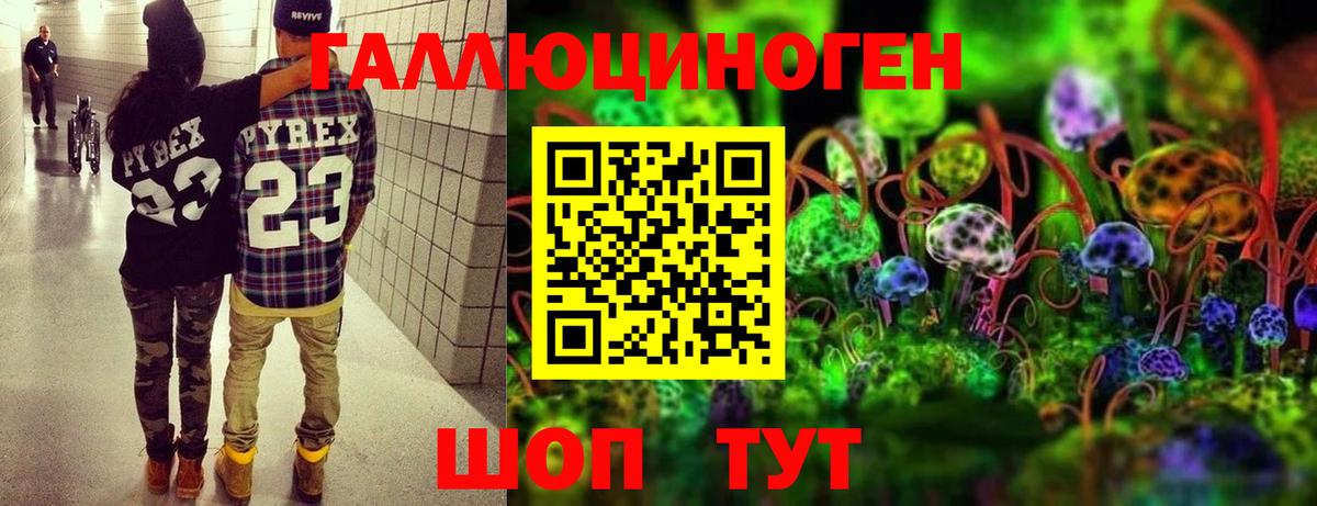 Кандалакша  Псилоцибиновые грибы ЛСД  Вход с VPN 