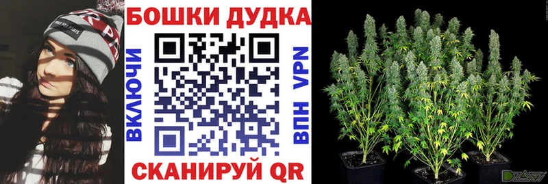 МАРИХУАНА планчик  Кандалакша 